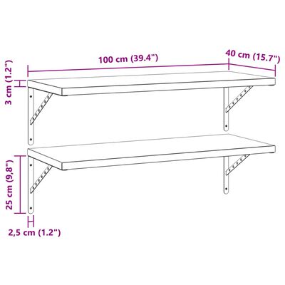 vidaXL Ράφια Τοίχου 2 τεμ. Μαύρο 100x40 εκ. Ανοξείδωτο Ατσάλι