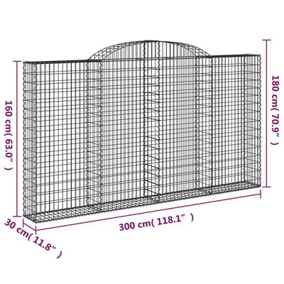 vidaXL Συρματοκιβώτια Τοξωτά 2 τεμ. 300x30x160/180 εκ. Γαλβαν. Ατσάλι