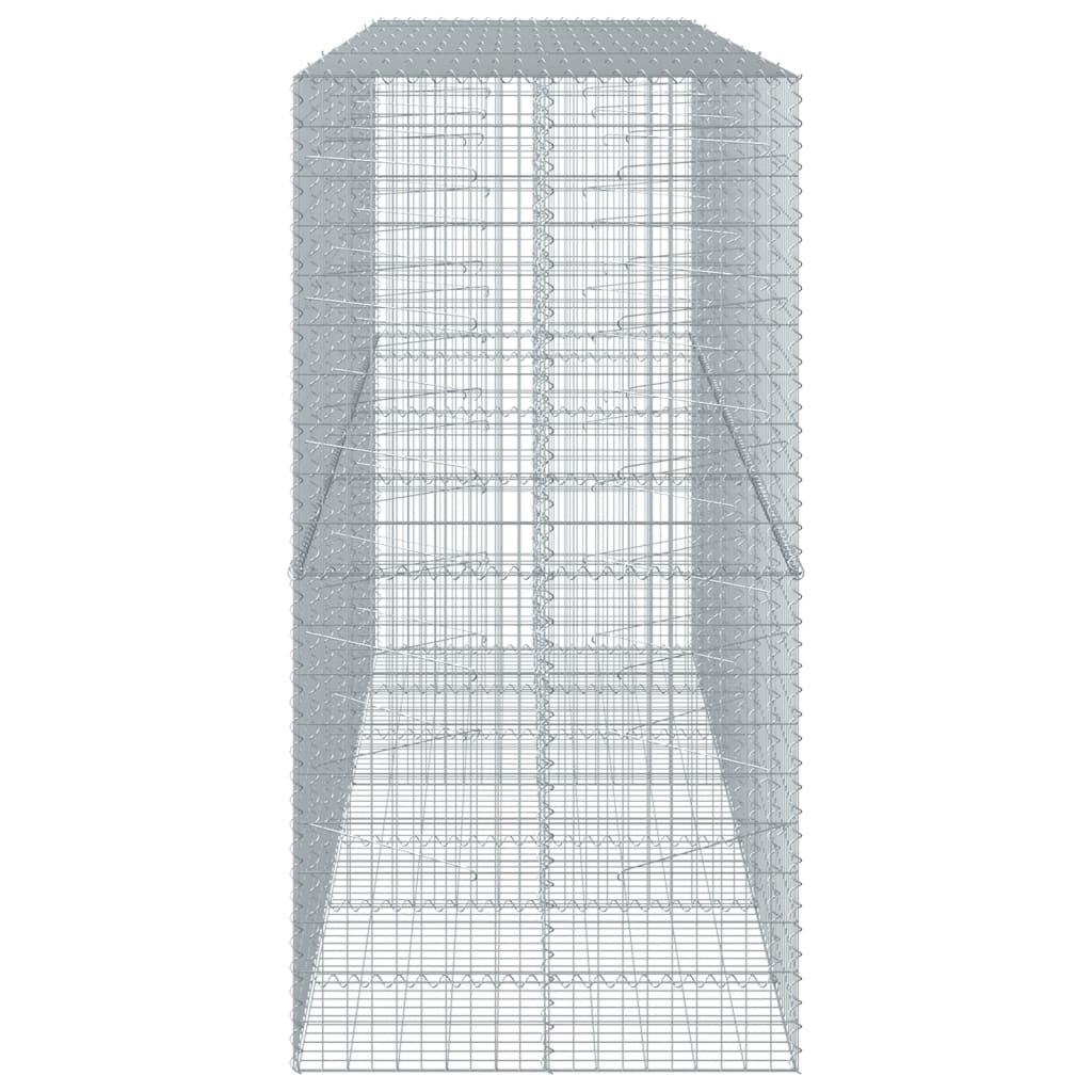 vidaXL Συρματοκιβώτιο με Κάλυμμα 350x100x200εκ από Γαλβανισμένο Χάλυβα