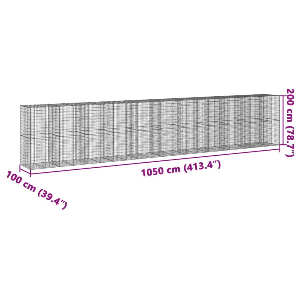 vidaXL Συρματοκιβώτιο με Κάλυμμα 1050x100x200 εκ. Γαλβανισμένο Χάλυβα