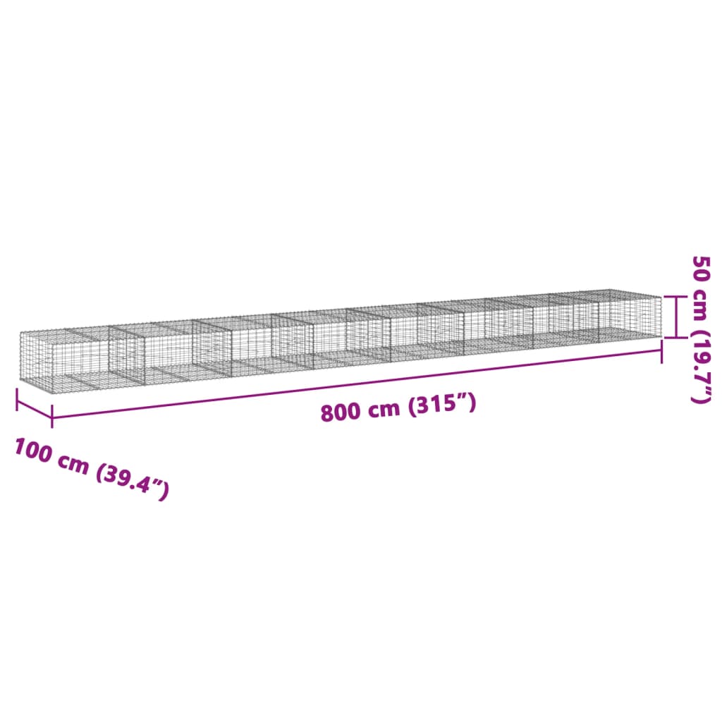 vidaXL Συρματοκιβώτιο με Κάλυμμα 800x100x50εκ. από Γαλβανισμένο Χάλυβα