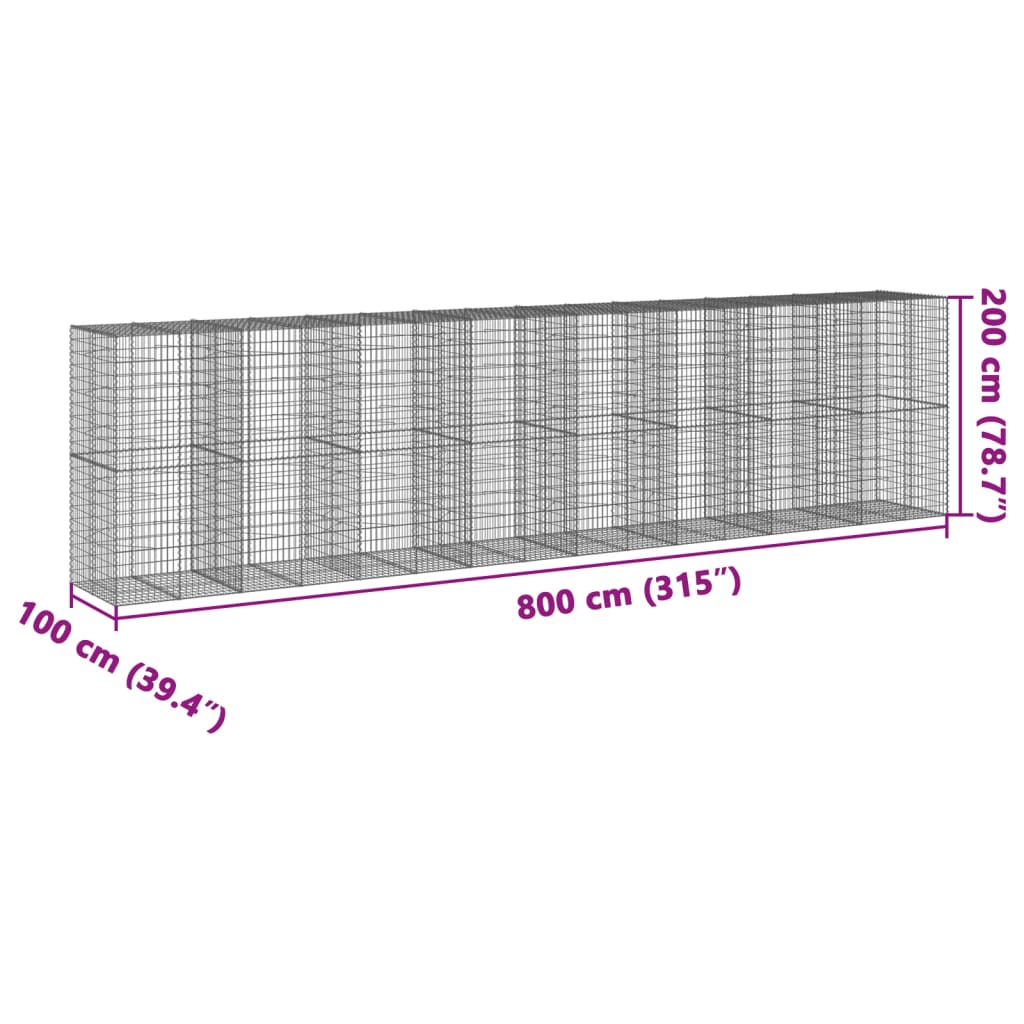 vidaXL Συρματοκιβώτιο με Κάλυμμα 800x100x200εκ από Γαλβανισμένο Χάλυβα