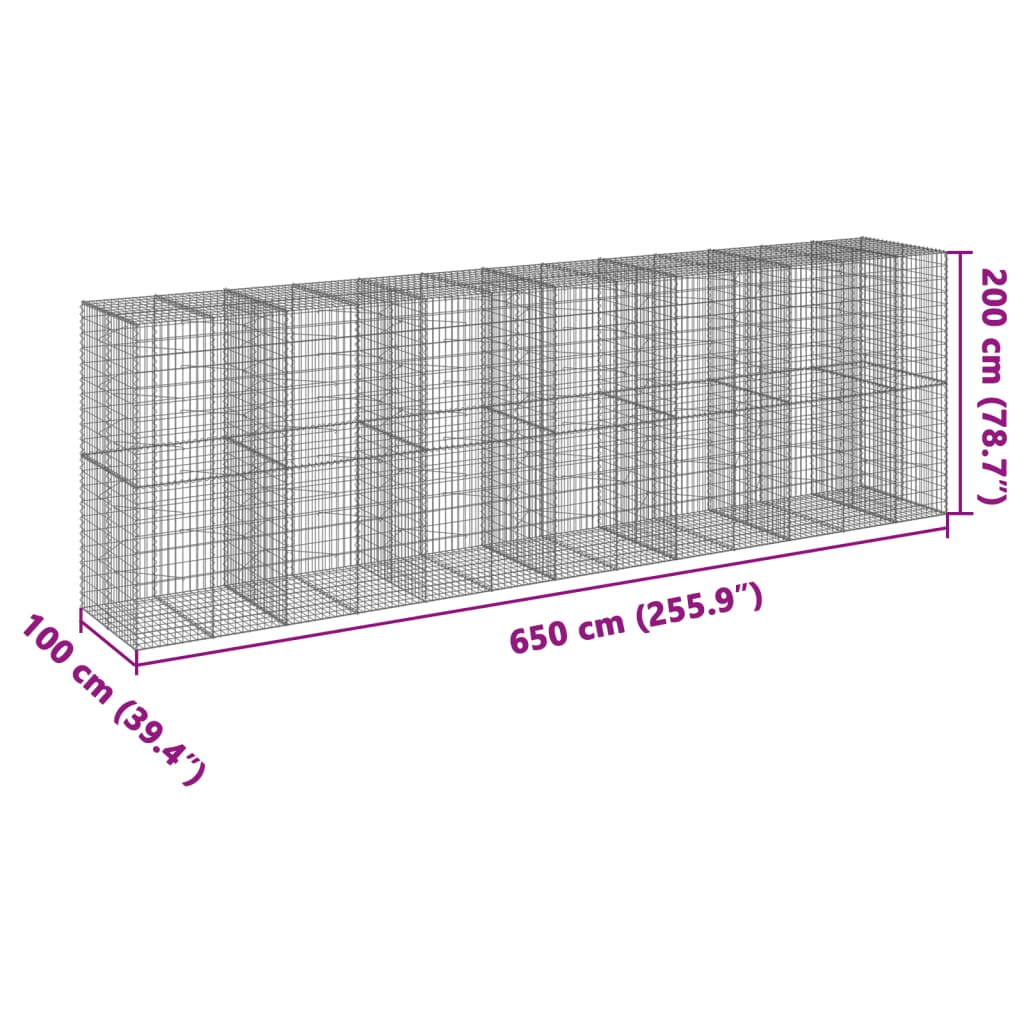 vidaXL Συρματοκιβώτιο με Κάλυμμα 650x100x200εκ από Γαλβανισμένο Χάλυβα